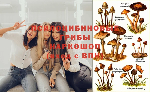 синтетический гашиш Михайловск