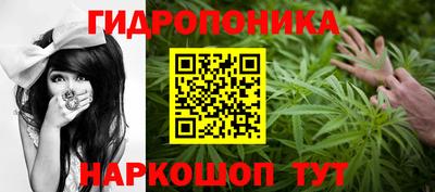 ПСИЛОЦИБИНОВЫЕ ГРИБЫ Кандалакша