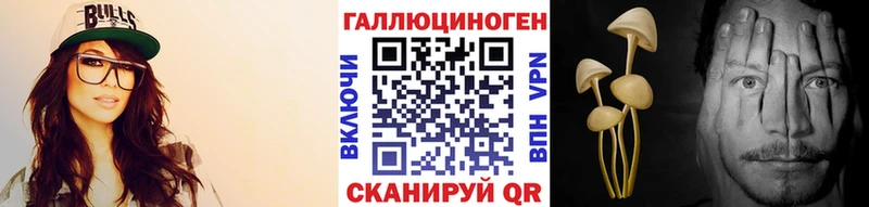 hydra ТОР Переславль-Залесский Псилоцибиновые грибы Cubensis
